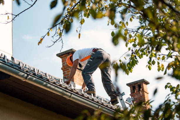 Best Gutter Installation and Roofing  in Austell, GA